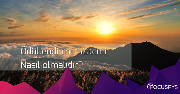 Ödüllendirme Sistemi Nasıl Olmalıdır?